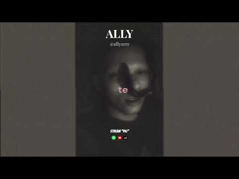 ALLY PIG (Tradução PT-BR)